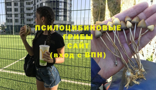 дурь Саяногорск